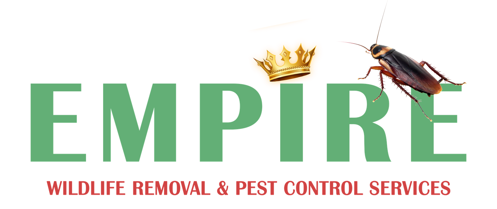 Empire Wildlife Removal